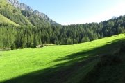 IMG_0029