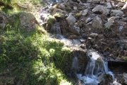 IMG_0031