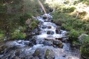 IMG_0034