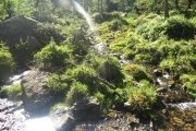 IMG_0040