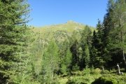 IMG_0043