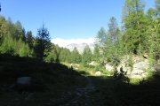 IMG_0047