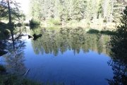 IMG_0050