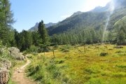 IMG_0054