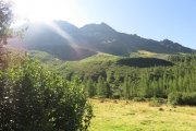 IMG_0059