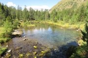 IMG_0063