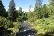 IMG_0076