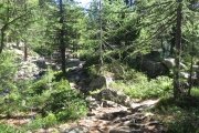 IMG_0080