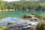 IMG_0085