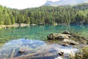 IMG_0086