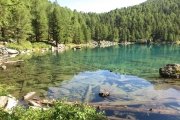 IMG_0087