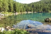 IMG_0088