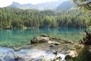 IMG_0090