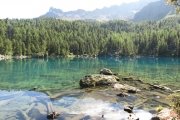 IMG_0091
