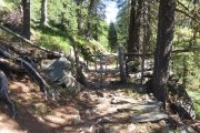 IMG_0110