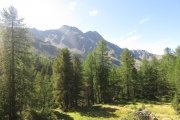 IMG_0114
