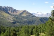 IMG_0117