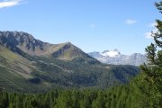 IMG_0119
