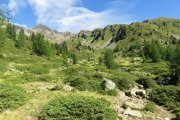 IMG_0123