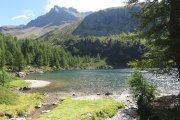 IMG_0141