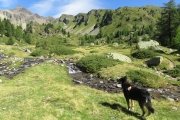 IMG_0162