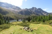 IMG_0168