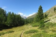 IMG_0170