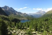 IMG_0179