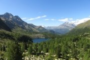 IMG_0181
