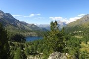 IMG_0184