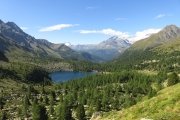 IMG_0187