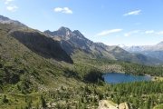 IMG_0201