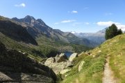 IMG_0207