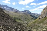 IMG_0218