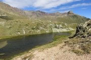 IMG_0241