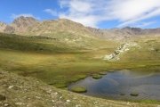 IMG_0249