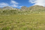 IMG_0284