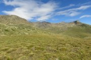 IMG_0290