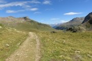 IMG_0294