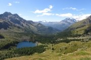 IMG_0315