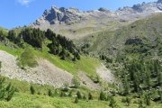 IMG_0332