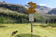 IMG_0345