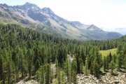 IMG_0349
