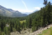 IMG_0352