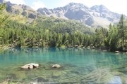 IMG_0354