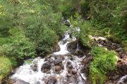IMG_0372