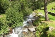IMG_0374
