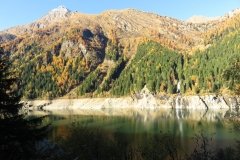 IMG_0006