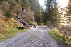 IMG_0008