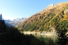 IMG_0010